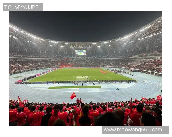 南京足球队逆袭世界杯的传奇征程与荣耀时刻