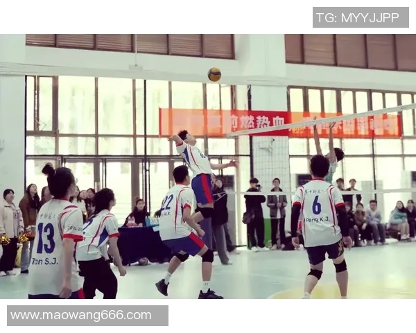 重庆排球队总决赛之路：拼搏与荣耀交织的奋斗历程回顾