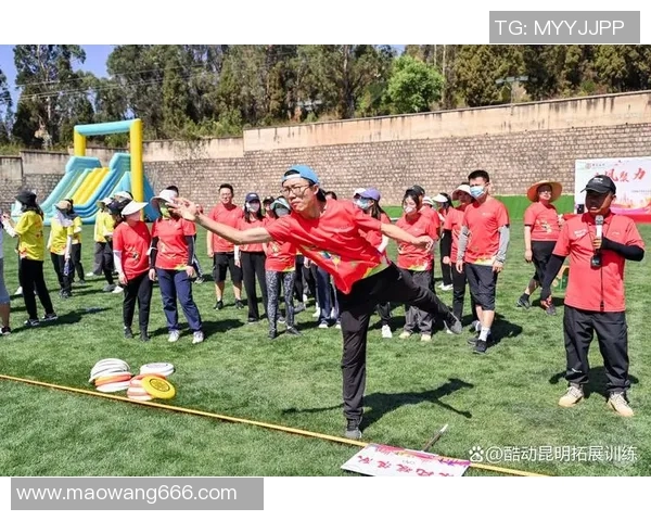 飞盘盛宴：深入探讨北京飞盘队的战术风格与团队协作