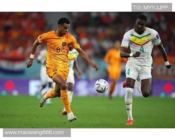 世界杯积分榜更新北京篮球队以67分稳居榜首展现强劲实力