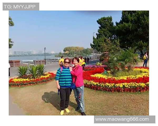 南京乒乓球队转型纪实：从传统到现代的奋斗与蜕变之路