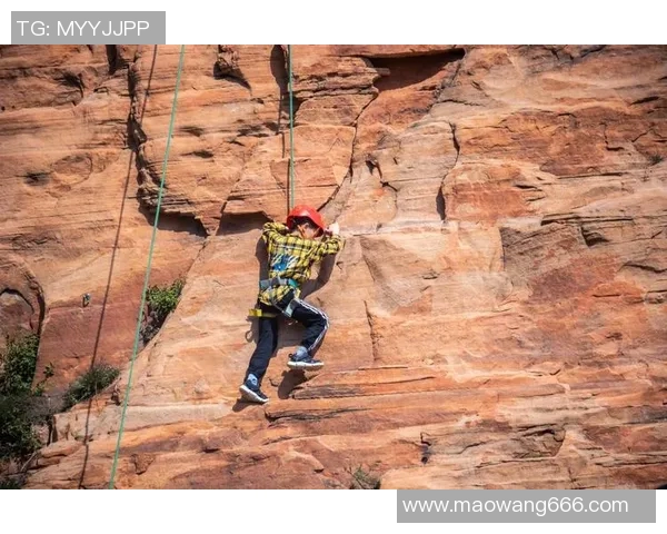 南京攀岩队的防反体系探讨与攀岩战术的深度融合分析