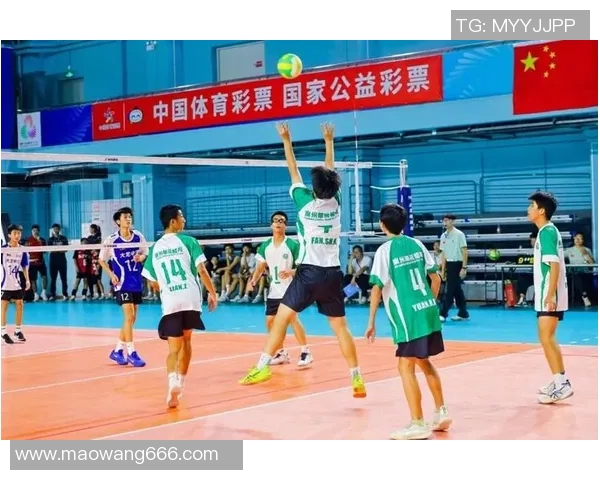 广州排球队实力强劲最新排球力量排行榜前十名揭晓