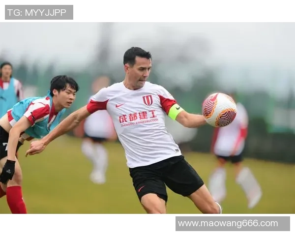 成都足球队荣登足球状态排行榜第一名引发热议