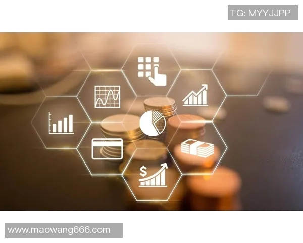 武汉网球队区域防守创新之路探索与实践分析 武汉网球队区域防守创新之路探索与实践分析