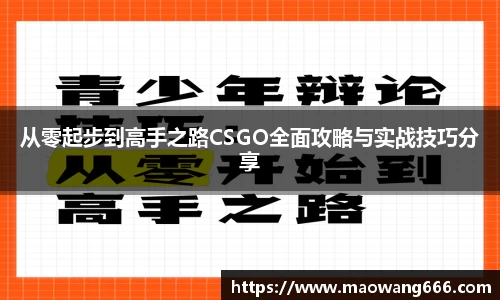 333体育官网