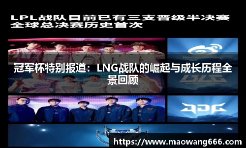 333体育官网