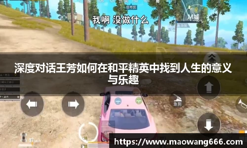 333游戏平台