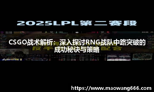 333体育