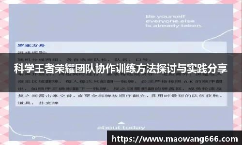 333体育app登录入口