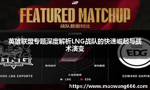 333体育app登录入口