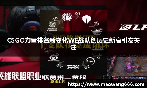 333体育官网