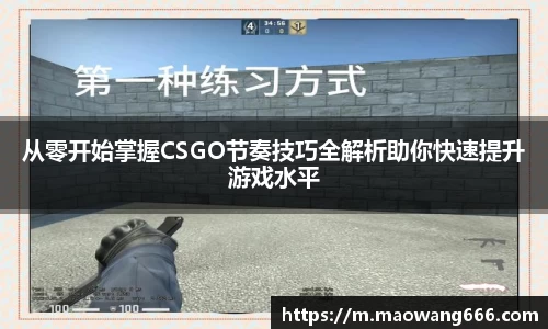 333体育官网