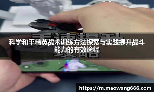 333体育app登录入口