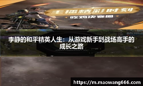 333体育官网