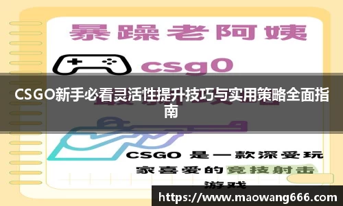 333体育官网