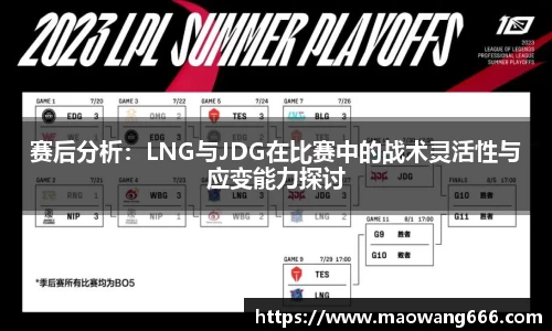 333体育app登录入口