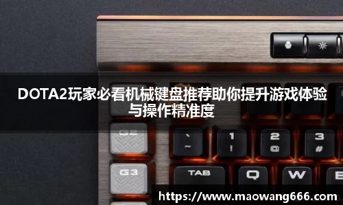 333体育app登录入口