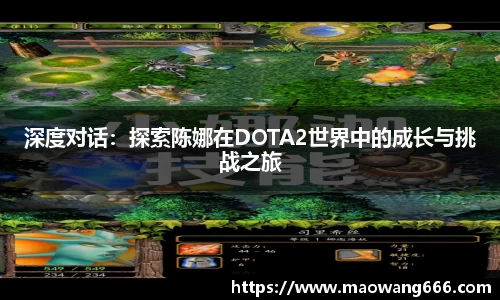 333体育官网