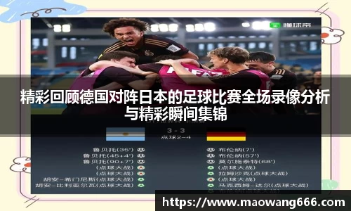 333体育官网