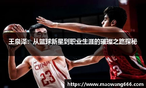 333体育官网