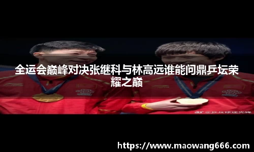 333体育
