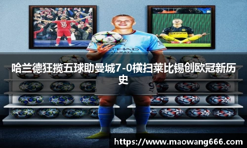 333体育官网