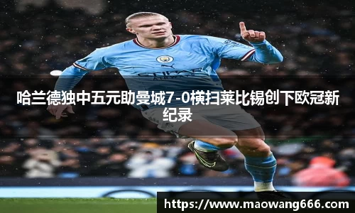 333体育官网