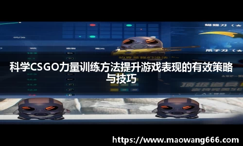 333体育app登录入口