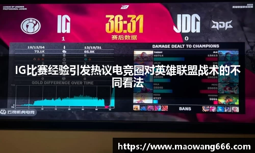 333体育
