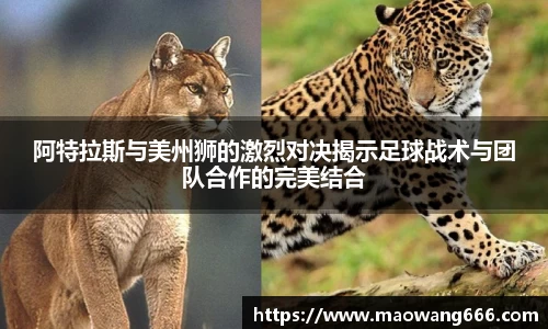 333体育app登录入口